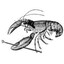 A Magical Lobster