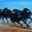 stampede of bulls