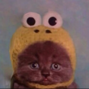 petroslav - steam id 76561198447985285