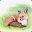 Piep de muis