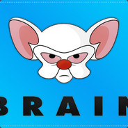 Brain