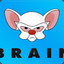 BRAIN