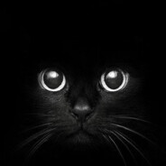 VEY_NiKo - steam id 76561199217530819