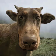 翻斗花园突击手胡英俊