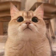 认真 刻苦 努力 勤奋