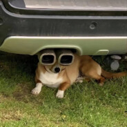 最强の地球人之我现在黎稚的可怕