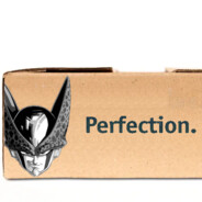 perfect same day shipping