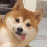 茫茫人海再相遇