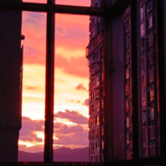 一碗面加两个蛋