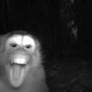 метадон (1300 ELO BOOSTING)