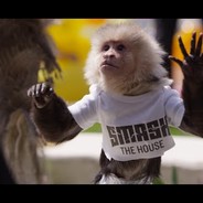 Werny **********.com