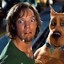 shaggy