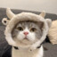 iceice