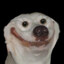 Gogzi