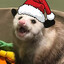 Possum