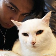 全能王什么都有一手