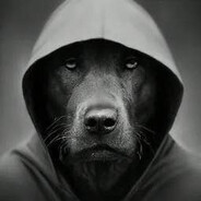 Купил хаммам