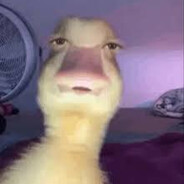 nico avatarı