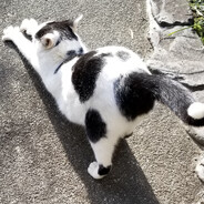 発電くらいしかできません