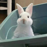 不想白给怎么办？