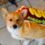 Hot_Dog 🌭