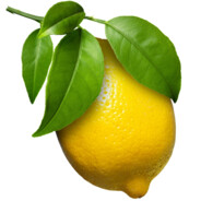 突击手柠檬，别被酸到