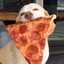 pizzadog