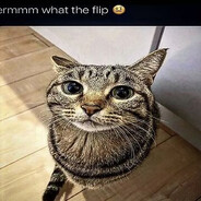 ermmmwhattheflip🤨