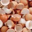 Absurd Quantities Of Eggshells