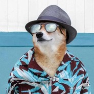 海绵宝宝开赢趴控诉大家无孔不入