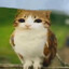 awesome's avatar