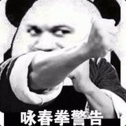 郸城叶问张日天