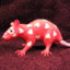 Rat Lover