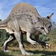 哈基米最强老资历