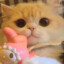 玉子