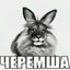 черемша