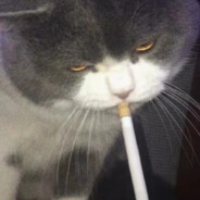 『MZ』魔族丿扎