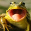 Glad Frog