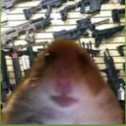 Berk