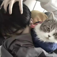 翻斗花园胡英俊