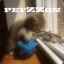 #petZZon#^^