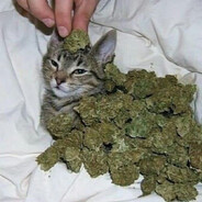 Ганжубасик