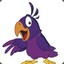 Purple_Parrot
