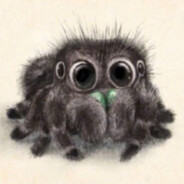 蛛蛛是只大笨蛛òOωOó