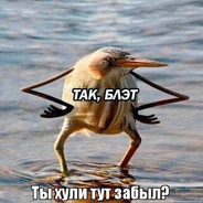 куропатка