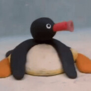 pingu