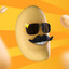 bob.ius