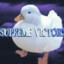 vichoelcholito