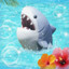 splash! :3