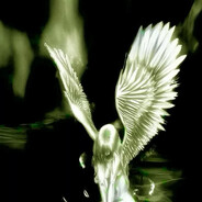 Avatar of knn1ght